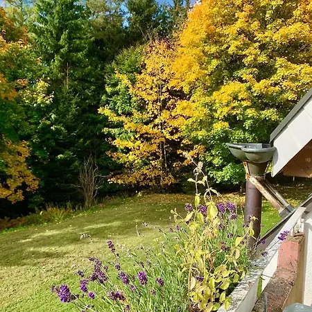 Hase Appartamento Saig